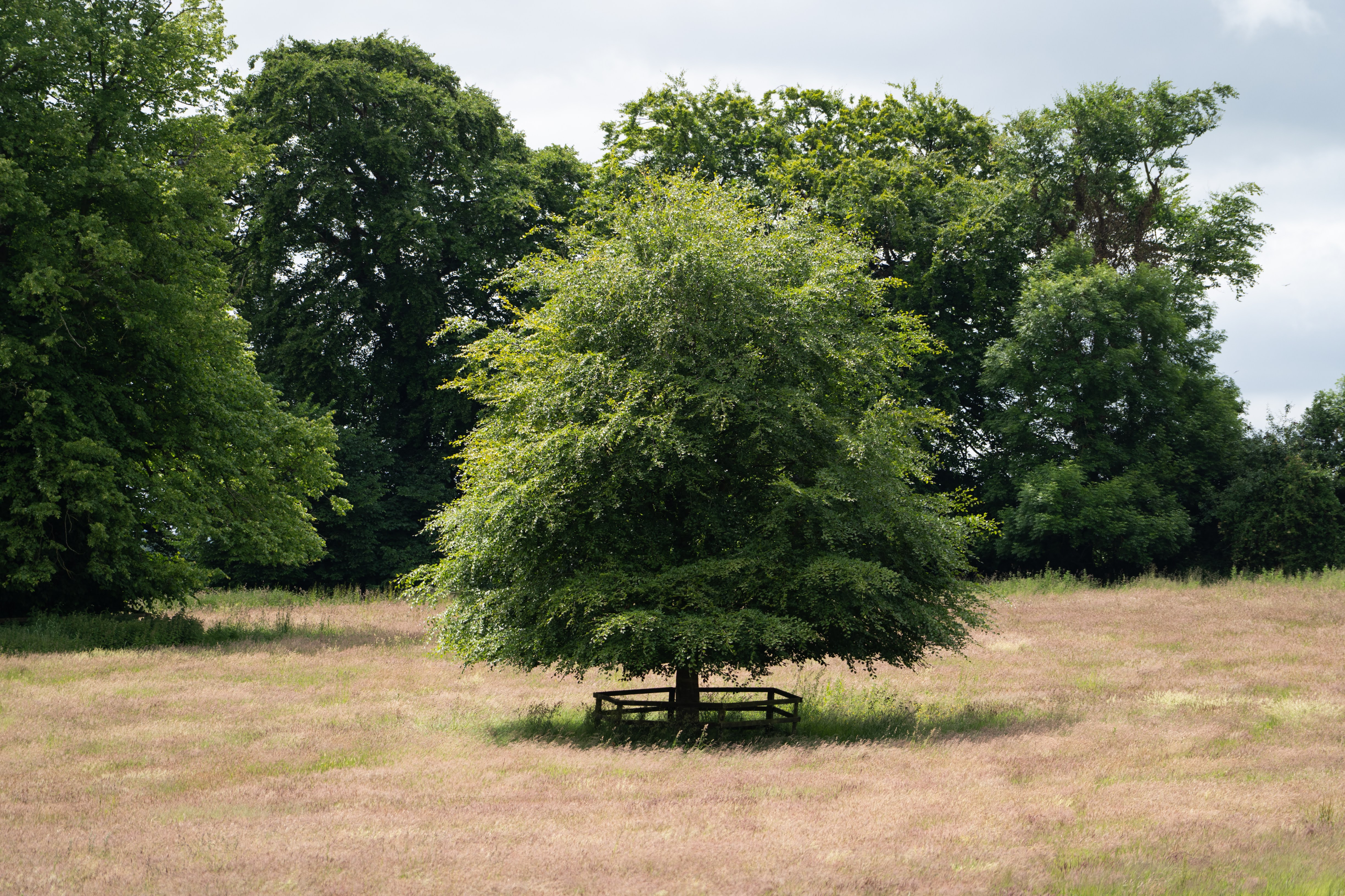 landscape picture