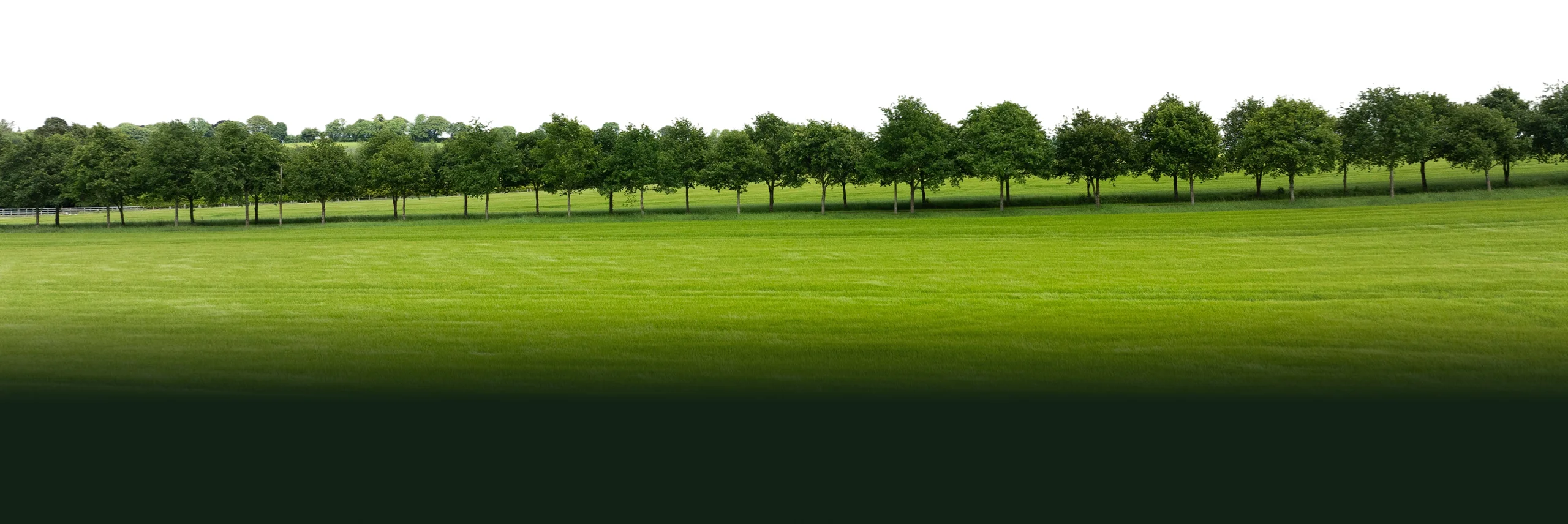 landscape picture