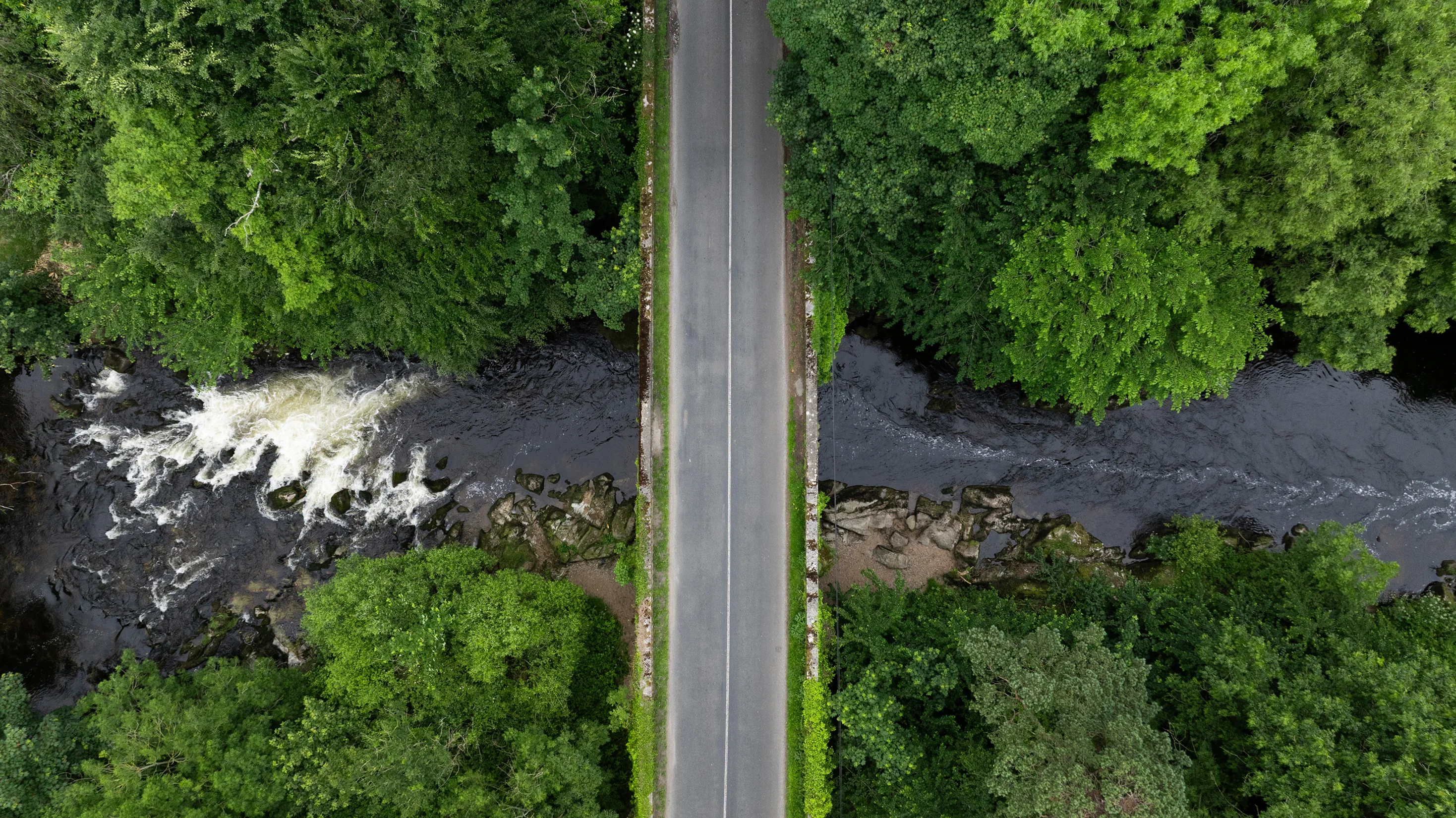 Drone view of road bridge over river through woodland, Co. Carlow