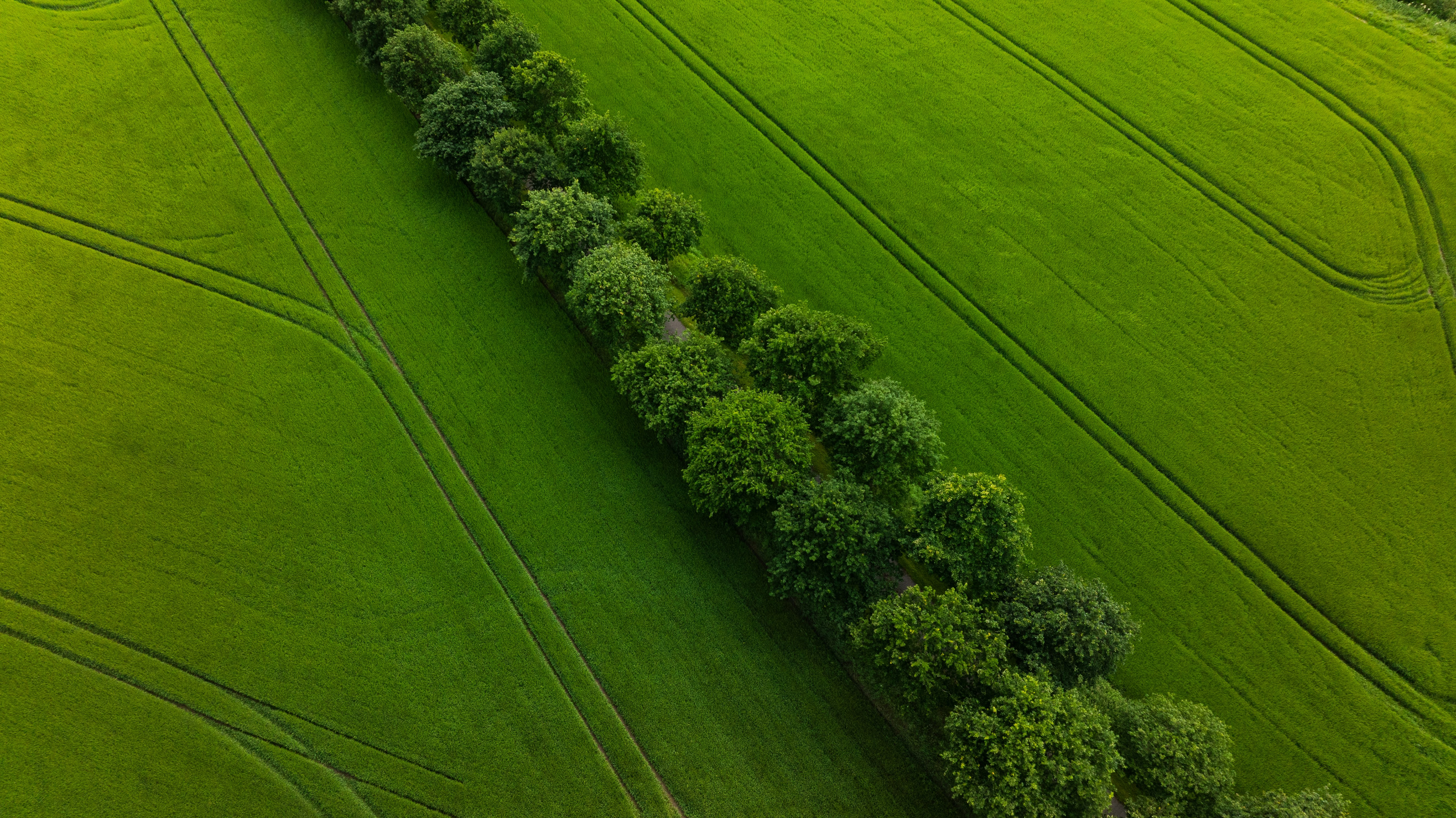 landscape picture