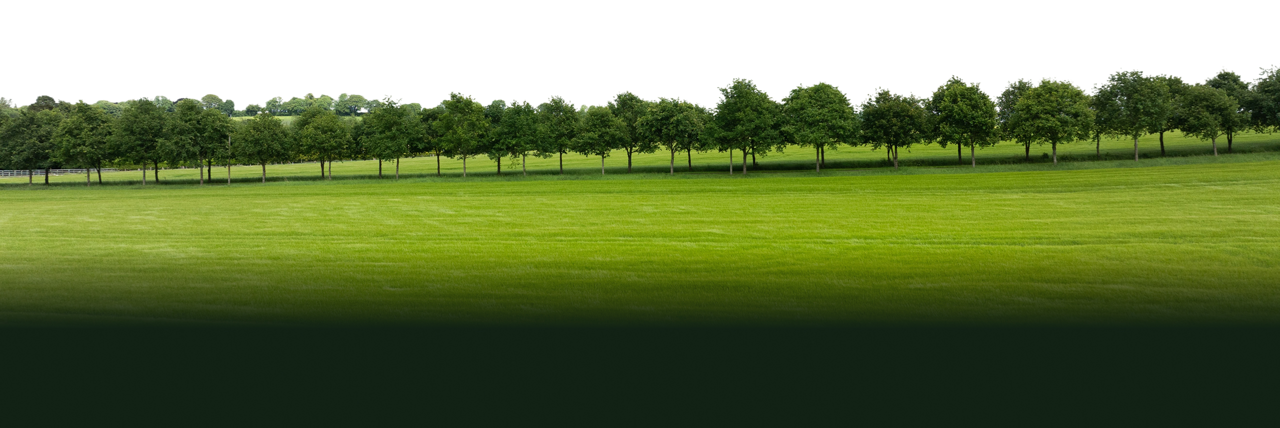 landscape picture