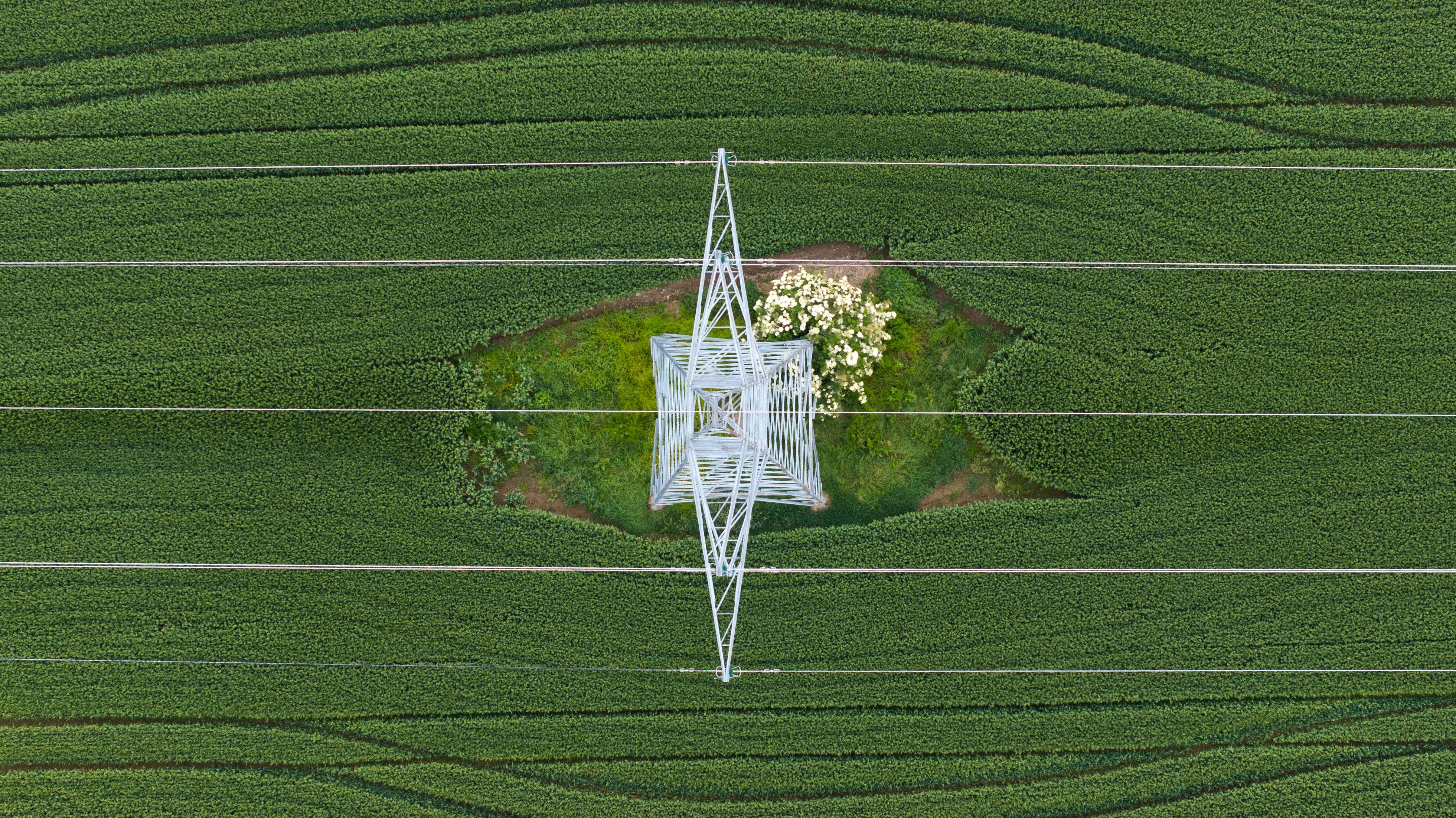 Aerial view of electricity pylon surrounded by crop fields